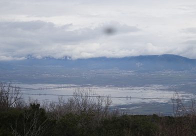 Προέχει να δοθούν αποζημιώσεις στους πληγέντες  αγρότες των Τεναγών Φιλίππων άμεσα όπως τονίζει ο πρόεδρος του Αγροτικού Συλλόγου Παγγαίου, Γρηγόρης Γρουζίδης