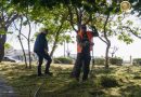Με 12 συνεργεία που εργάζονται περιμετρικά της πόλης, προσπαθεί ο Δήμος Καβάλας να περιορίσει τη βλάστηση, όπως δηλώνει ο αντιδήμαρχος Πρασίνου Κυριάκος Σταυρίδης