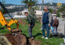 Νέες δενδροφυτεύσεις και καλλωπισμός στο Πάρκο Φαλήρου όπως δηλώνει ο Αντιδήμαρχος Πρασίνου Κυριάκος Σταυρίδης
